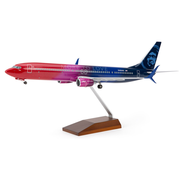 1/100 Scale  737-900ER  More To Love